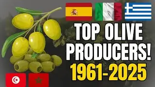 Top Olive Producing Countries in the World (1961&ndash;2025) 🫒 | The Largest Olive Producers Worldwide