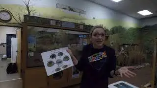 3rd Grade: LESSON FOUR: ADAPTATIONS & KEYSTONE SPECIES (3-LS4-3))