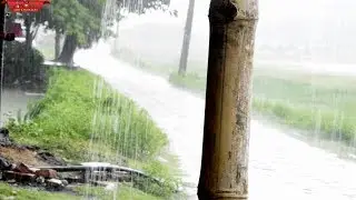 Monsoon II Rainy Season II Free 2 use II No Copyright Video & Audio II royalty free
