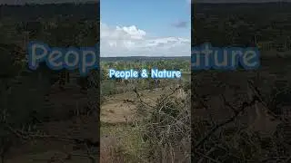 Nature Connection- People, Nature & Planet #travel #forests