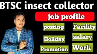 Bihar BTSC 10+2 INSECT COLLECTOR Exam 2025,jobprofile|posting facility holiday salary promotion work