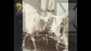 Hadban Enzahi (Nazeer x Kamla) |  ( نظير x كامله ) هدبان انزاحي