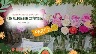 You Won't Believe These Blooms! 42nd All India Rose Show: Cut Flower | Kolkata | Part-2