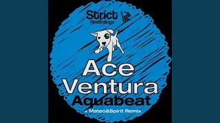 Ace Ventura (Original Mix)