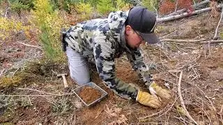 Setting Foothold On Catch Circle / Weather Proofing Trap - Wolf Trapping