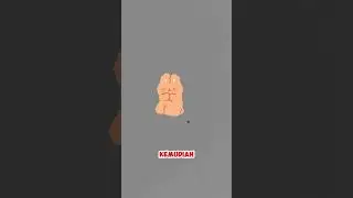 Tewas Dikukus Teman Sendiri 😱 #faktaunik #alur2d #makhluk #motivasi #animasia #shortvideos #cerita
