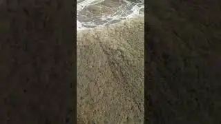 Foam Bulking