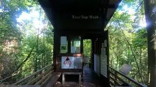 Singapore - HSBC TreeTop Walk