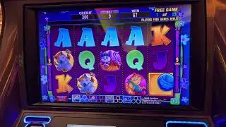 IGT The Whole Kitten Kaboodle another Kitty Glitter clone Free Games Bonus #slots #igtslots