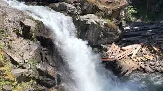 Silver Falls MRNP