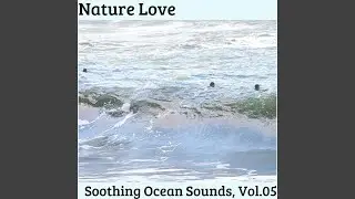 Nature of the Ocean