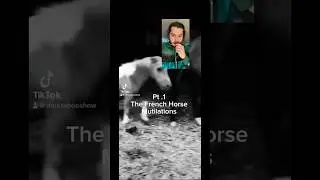 Pt. 1 The French Horse Mutilations 2020 #truecrime #crime  #unsolved  #mystery #paranormal #creepy