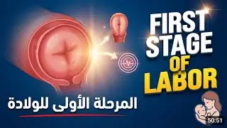 First stage of labor explained in detail 💫💯🥇🔥.