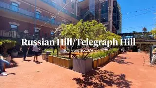 Russian Hill/Telegraph Hill | Neighborhood Guide | Compass [Rolla]