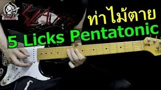 สอนโซโล่กีต้าร์ สเกล Pentatonic โน้ตไม่ยาก (5 Licks ร็อคยอดนิยม) l TeTae Rock You