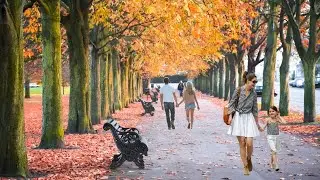 Walking Tour l European Park l Tamil song l Summer 🌞