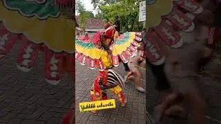 pawai pitik pitikan, macanan, Barong