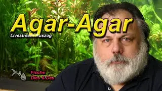 KANN AGAR-AGAR EINE TR&Uuml;BUNG IM AQUARIUM VERURSACHEN?