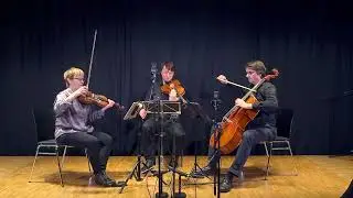 r. nafisi's AFSCHAARI: DURCH DIE BLUME (string trio and storytelling)