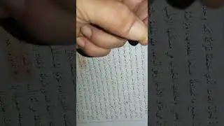 الصف || العاشر درس نمل .. ونحل