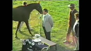 1989 Yea Cup