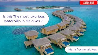 Is TAJ EXOTICA worth the $$$$ ?💰 🤯 The most luxurious stay ever in Maldives !😍 #maldives #travel  