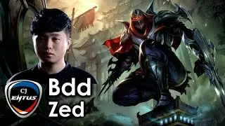 BDD picks Zed
