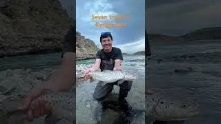 Sevan trout in Kyrgyzstan