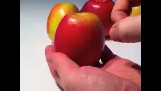 Big Apple Test GETOCT-healthy vitamins