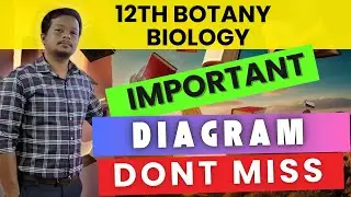 🧬 12th Botany & Biology 📚 Important Diagrams for Public Exam 2025 🎯