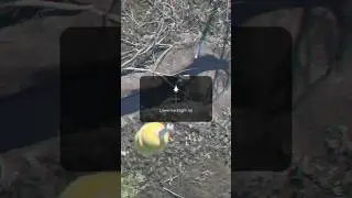 FPV Kamikaze Drone (game) Grenades in Trenches #shorts #fyp #kamikaze #fpvdrone #kamikazedrones