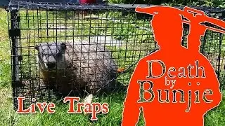 Tips on Trapping with Live Cage Traps
