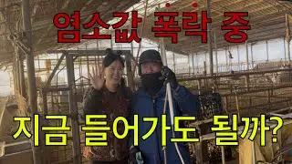 염소값 폭락 지속... 지금 염소 사육 시작해도 될까?｜베테랑 농장주의 시작 전 체크리스트