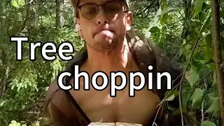 No nails cabin build episode 3. TREE CHOPPIN!