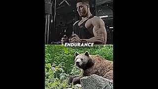 Peak Human (with guns) vs Bear | #shorts