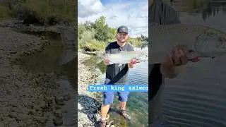 🎣 Epic Fishing Adventures | Catching Fish in Every Condition! 🐟 #fishing #vanlifevoyages #wefish
