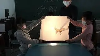 透光布測試與戲偶簡單講解