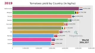 Top 10 Countries by Yield of Tomatoes (1961 - 2019)