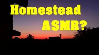 Homestead Wisdom and a Little ASMR - Not Progressing as Quick as I Wanted! Homesteading 101