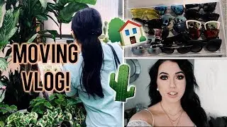 ВЛОГ ПЕРЕЕЗДА №4! Перевозка деревьев за доллар, покупка растений🍃🌵 Рецепт зелёного смузи, открытие PR-пакетов