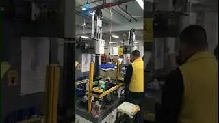 Multiple Servo Cam Forming Machines in Action at Customer&rsquo;s Factory | High-Speed Box Production!