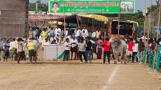 అన్నంబోట్లవారి పాలెం సీనియర్స్ 2వ జత అక్కినేని ముకుల్ సత్య చౌదరి గారు