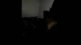 DS4L