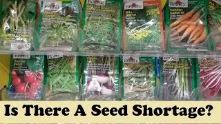 Is There a Seed Shortage?