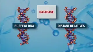 DNA company policy changes could affect cold case crime solving