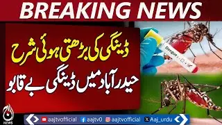 Dengue Cases Surge in Hyderabad as Spray Operations Lag &ndash; Aaj News Pakistan