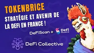 Strat&eacute;gies, rendements, stablecoins et memecoins : La DeFi d&eacute;cortiqu&eacute;e - Avec TokenBrice
