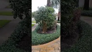 What a manicured landscape looks like