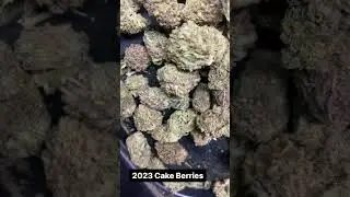 Elli-Hou Farms 2023 Cake Berry