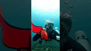 How To Deploy Surface Marker Buoy #kohtao #thailand #sidemountdiving #padi @PADI